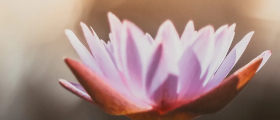 Ayurveda Massage